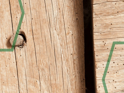 An image showing wood damaged by woodworm