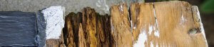 Timber damaged by wood rot